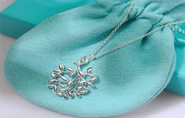 2022 brand original Jewellery designer necklace olive leaf pendant women039s simple highend sweater chain242S3448468