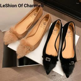 Dress Shoes LeShion Of Chanmeb Kid Suede Pumps Women Luxury Pointy Toe Spike Heel Shallow Shoe Nude Belt Buckle Fur Slip-on Pump Woman 34-39
