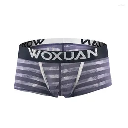 Underpants Men's Breathable Mesh Striped Boxer Shorts Underwear See-through Trunks Cueca