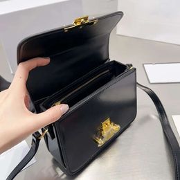 Designer Celini Bag Triomphes Bag Leather Cowhide Bag Celiene Crossbody Bag Fabric Printing Bag Saddle Bag 520