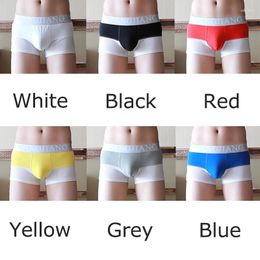 Underpants 2XL Sexy Men Boxer Shorts Seamless Underwear Slip Homme Bugle Pouch Male Mesh Breathable Trunk Cueca Tanga Gay Panties