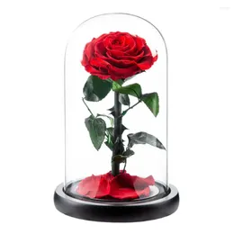 Decorative Flowers Eternal Rose In Glass Dome Romantic Aesthetic Flower Gift Mother's Day