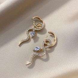 Dangle Earrings Korean Fashion Gold Color Snake Shaped Pendant Ear Buckle Personality Women's Charm Girl Hip Hop Party Jewelry