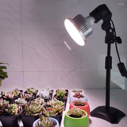 Grow Lights Led Full Spectrum Plant Light Sunlight Greenery Indoor Scalable Adjustable Succulent Fill