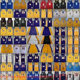 2024 Dennis Rodman Classic Basketball 13 Wilt Chamberlain Jerseys Retro Ed 42 Artest Worthy Jerry West 1996-97 Black Blue 1996-2016 Purple 24 Jersey