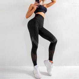 Women's Pants Running Activewear Yoga Hollow Sport Trainning Wear