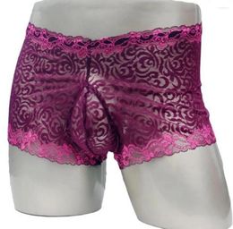 Underpants Sissy Gay Panties Lace Men Underwear Sexy Transparent Big Boxer ZJH884P