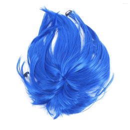 Dog Apparel Hair Accessories Pet Headgear Blue Long Synthetic Wigs Fiber Funny Costumes