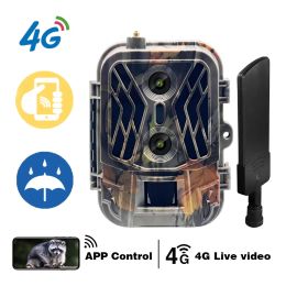Cameras 4G HD Live Show Night Vision Trap Game Camera Cellulare Dual Lens Wildlife Hunting Trail Camera with TF Card 36MP 4K Video