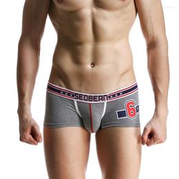 Underpants SEOBEAN Men's Boxers Underwear U-bag Boxer Solid Cotton Sexy Low-waist Fashion