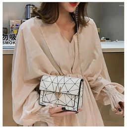 Shoulder Bags Crossbody For Women Summer 2024 Ladies Bag Chain Wild Crack Female Printing Small Square