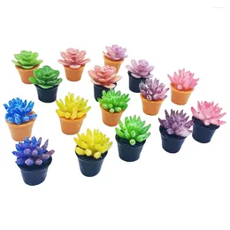 Decorative Flowers 16pcs Miniature Potted Plant Mini Succulents Model House Bonsai Decor