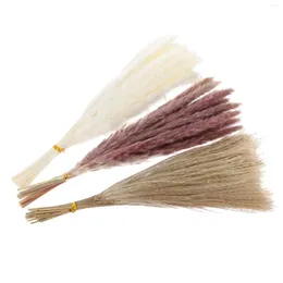 Decorative Flowers 60pcs Dried Reed Wedding Bouquet Decor Pampas Grass Stem Party Decoration Props Natural Dandelion Preserved