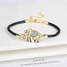 Chain High Quality Zirconia Puppy Snake Elephant Cat Leopard Animal Theme Leather Rope Braided Bracelet for Man Woman Party Jewelry Y240420