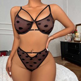 Fun Lingerie New Mesh Polka Dot Bra Underwear Split Set Sexy and Hot Temptation W704