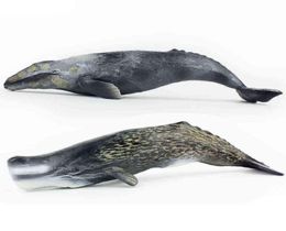 Tomy 30CM Simulation Marine Creature Whale Model Sperm Whale Grey Whale PVC Figure Model Toys X11061581207