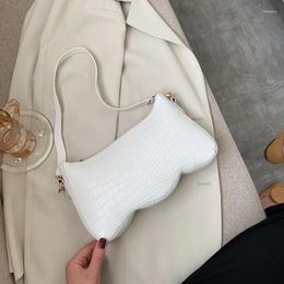 Shoulder Bags French Niche Bag Women 2024 Korean Style Fashion Hand Carry Underarm