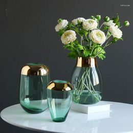 Vases Transparent Glass Vase Slows Flower Arrangement Hydroponic Creative Living Room Table House Furnishing Soft Decoration