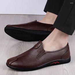 Casual Shoes Mens Loafers Man Shoe Comfortable Driving Footwear Male Classic Genuine Leather Men Handmade Slip On