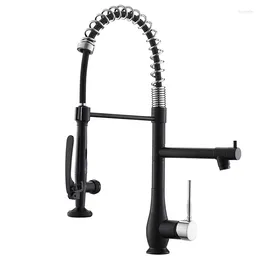 Kitchen Faucets FLG Sink Faucet With Sprayer Tap Brass Commercial Style Sturdy Spring Single Handle Pull Down