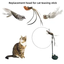 Toys Cat toys strong suction cups teasing rod replacement head teasing rod simulation bird wire teasing rod pet supplies accessories