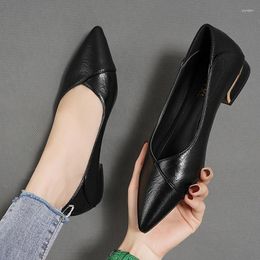 Casual Shoes 2024 Spring/Summer/Autumn Flat Bottom Single Women's Thick Heels Work Not Tired Feet Small Leather