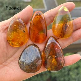 Necklaces 100% Real Amber Pendant for Women Diy Jewelry Wholesale Unique Teardrop Natural Plant Original Baltic Stone for Chain Necklace