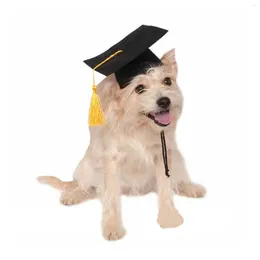 Dog Apparel Graduation Hat Pet Accessory Adjustable Cap For Puppy Kitten Birthday Dress Up Props