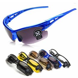 Outdoor Eyewear Fishing Sunglasses Polarised Cycling Glasses Explosion-proof Bicycle Sun Windbreak Sand For Men Women