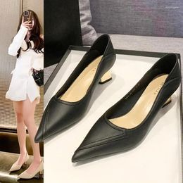 Dress Shoes Pointed French Low Heel Female Celebrity 2024 Spring And Autumn Season Light Mouth Style Fashion High