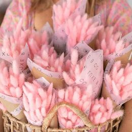 Faux Floral Greenery 100PCS Pink Rabbit Tail Grass Dried Flowers Natural Pampas DriedGrass Floral Arrangement Bouquet for Boho Decoration DIY Wedding T240422