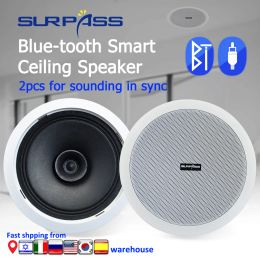 Control Dustproof Smart Bt in Ceiling Active Speakers 6 Inch Home Surround Sound 2 Channel Built in Wall Mount Roof Speaker Indoor Audio