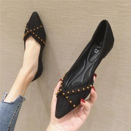 Casual Shoes Large Size Four Seasons Flats Woman Rivets Ballets OL Office Pointed Toe Shallow Slip On Foldable Ballerina