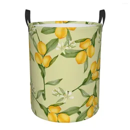 Laundry Bags Foldable Basket For Dirty Clothes Citrus Yellow Fruit Leaves Storage Hamper Kids Baby Home Organiser