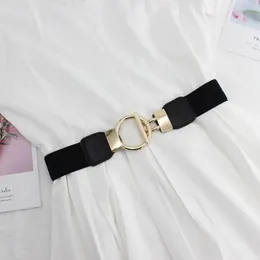 Belts Fashion Women All Match Accessories Dress Decor Elastic Waist Waistband Cummerbunds