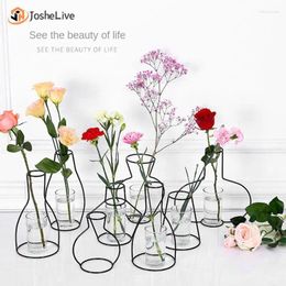 Vases For Living Room Decor Plant Rack Stand Holder Anti-rust Ornaments Without Bottle Nordic Styles Creative Diy Home Decorations