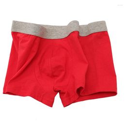 Underpants Men Underwear Boxers Cotton Qucik-Dry Sexy Breathable Mens Slip Cueca Male Panties Mid Rise