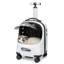 Bags Pet Cat Bag Transparent Breathable Carrying Bag Trolley Backpack Space Capsule Cat Carrier Multifunctional Pet Bag