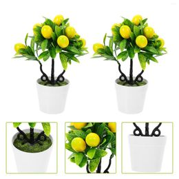 Decorative Flowers 2 Pcs Faux Potted Plant Indoor Planter Pots Office Decor Simulation Bonsais