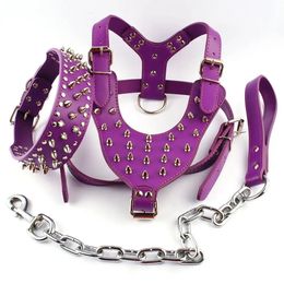 Purple Spiked Studded Leather Dog Harness Collar and Leash Set For Meduim Large Breeds Pitbull 240418