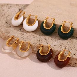 Hoop Earrings Multiple Colours Year Jewellery Acrylic White Clear Green Burgundy Small Round Fat Stainless Steel For Women