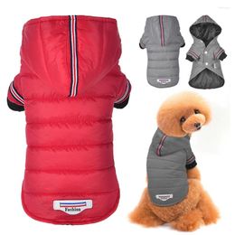Dog Apparel Warm Chihuahua Pug Clothes Winter Small Jacket Coat Puppy Cat Clothing Hoodies For Medium Dogs Yorkshire Outfit