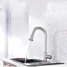 Kitchen Faucets Black Handle Stainless Steel Hose Faucet