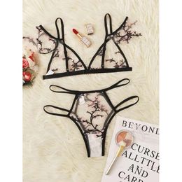 Lingerie divertente sexy prospettiva femminile tentazione set di lingerie stampata a tre punti