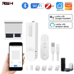 Control Tuya WiFi Smart Motorised Chain Roller Blinds Remote Voice Control Shade Shutter Drive Motor Work With Alexa Google Home