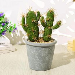 Decorative Flowers Artificical Succulent Durable Widely Use Fake Plant Simulation Potted Simple Cactus Garden Decoration For