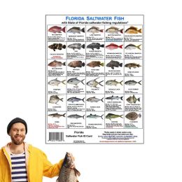 Accessories Florida Saltwater Fish Identification Card Fish Species Guide With Magnets Identify Florida Waters Rules Card For Fishing