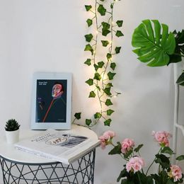 Decorative Flowers Green Rattan Artificial Garland Fake Plants Vine String Light 2 Metres 20 LEDs USB Powered For Home Decoration