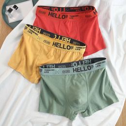 Underpants Men's Underwear L-4XL Fashion Cotton High Stretch Boxer Shorts Breathable Soft Comfortable Plus Size