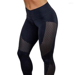 Women's Pants Leggings Summer Women Elastic Sport Workout Cool Sexy